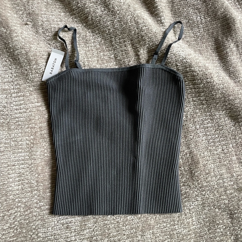 Aritzia Babaton tanktop
